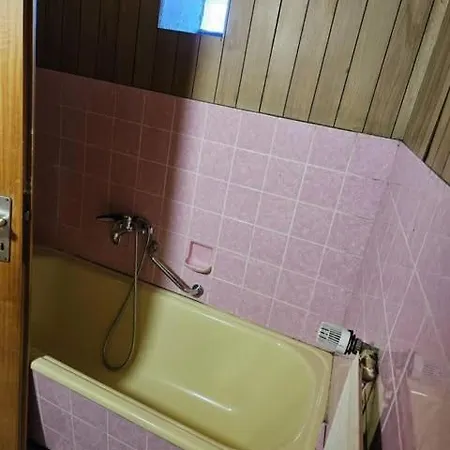 Apartment Ferienhaus Trifunovic *